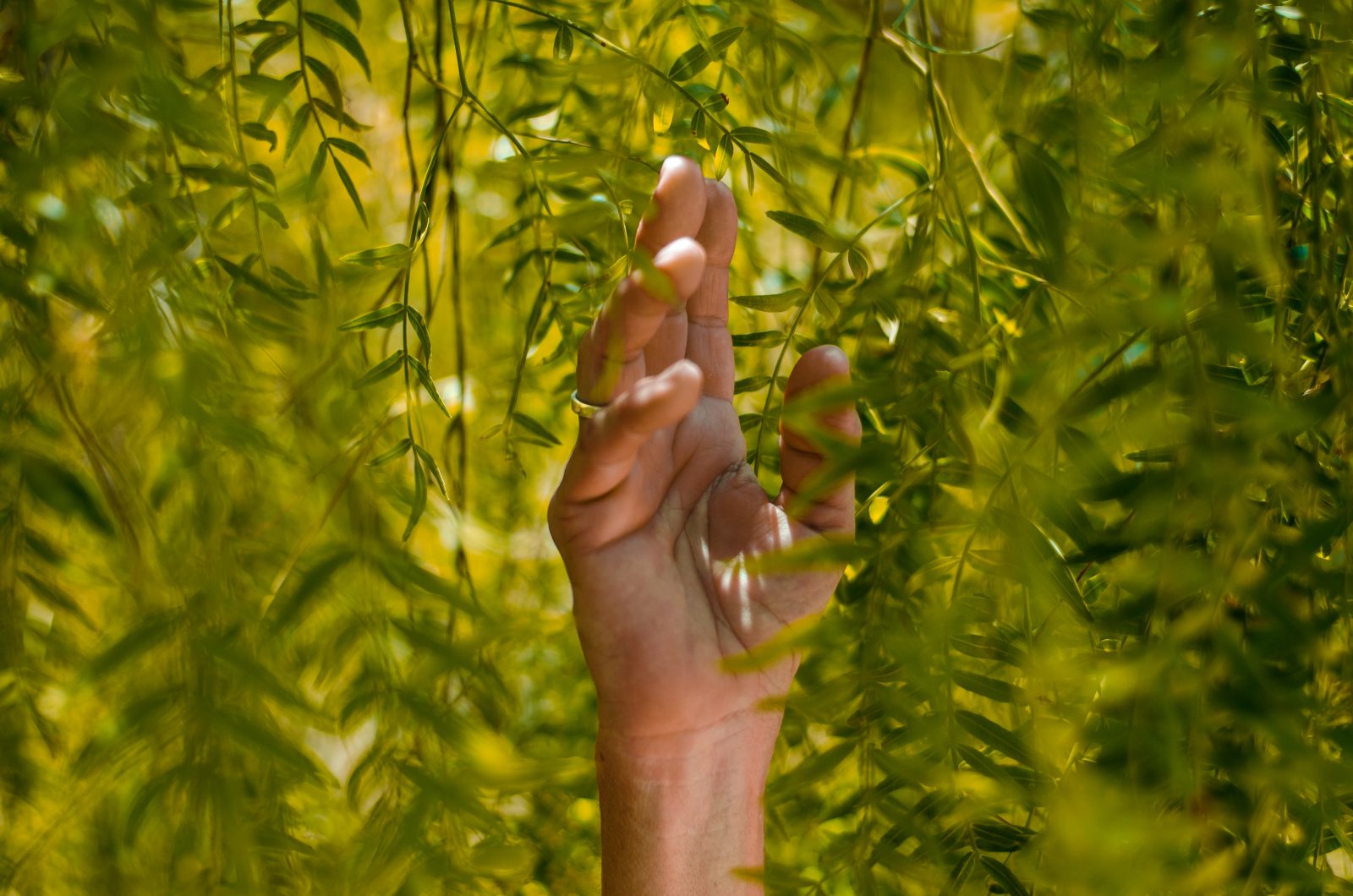 Hand running through leaves how to develop a sustainable sampling campaign